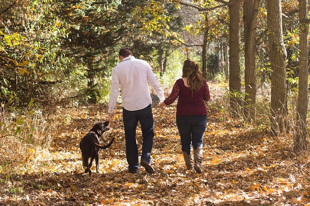 family-2366129_640.jpg